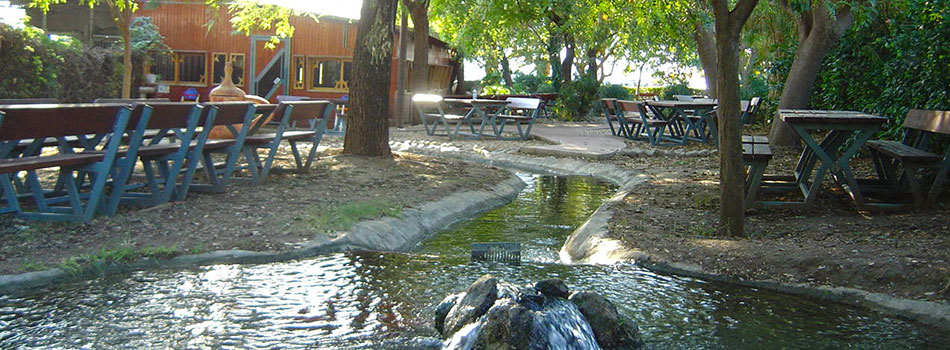 מסעדת דגים כשרה