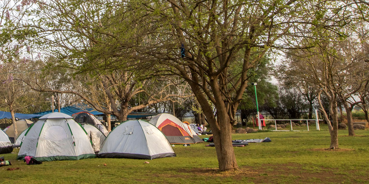 קמפינג בלום וילג