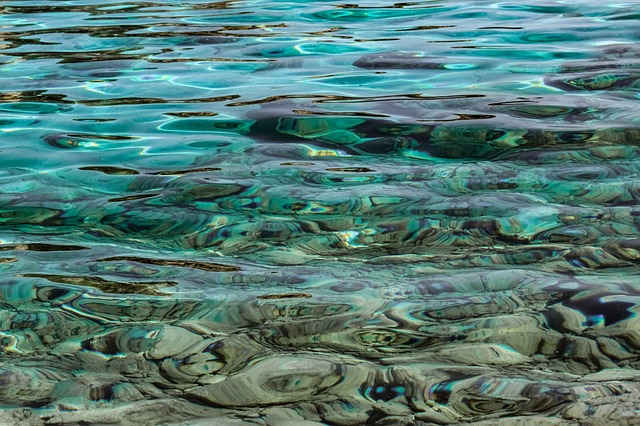 בגליל העליון מתגייסים למען הצלת החופים המזוהמים