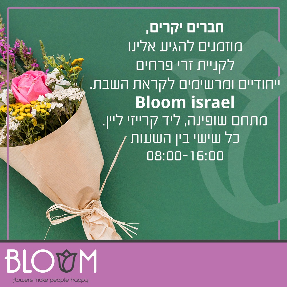 חנות פרחים ראש פינה