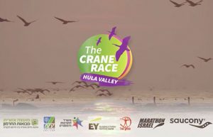 מרוץ העגור אגמון החולה