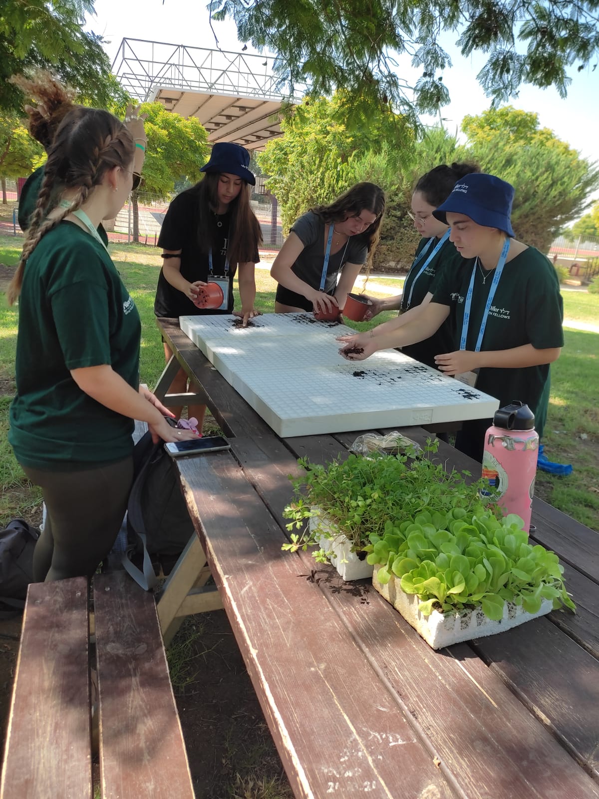גינות הידרופוניות