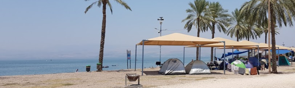 חוף כורסי בכנרת