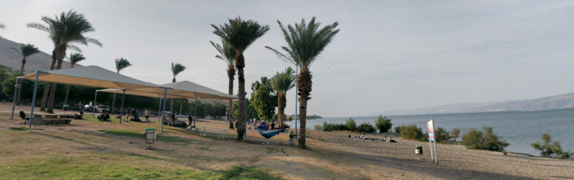 חוף לבנון בכנרת