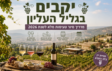 יקבים בגליל העליון – מדריך סיור טעימות מלא לשנת 2026