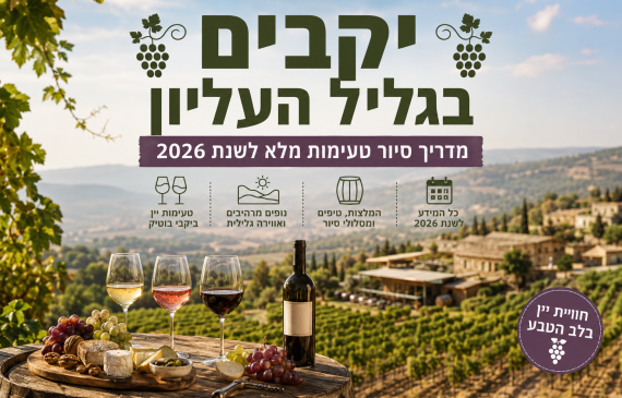 יקבים בגליל העליון – מדריך סיור טעימות מלא לשנת 2026