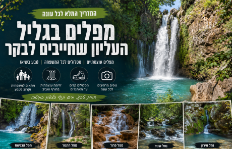 מפלים בגליל העליון שחייבים לבקר – המדריך המלא לכל עונה