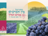 פסטיבל בין הכרמים 2022